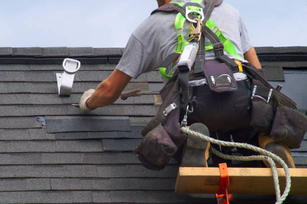 Best Roof Maintenance and Cleaning  in Fort Belvoir, VA