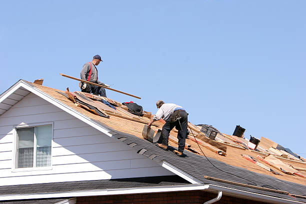 Best Roof Installation  in Fort Belvoir, VA