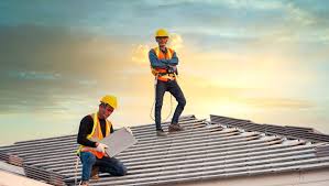 Best Roof Moss and Algae Removal  in Fort Belvoir, VA